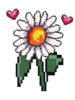 Flower 5